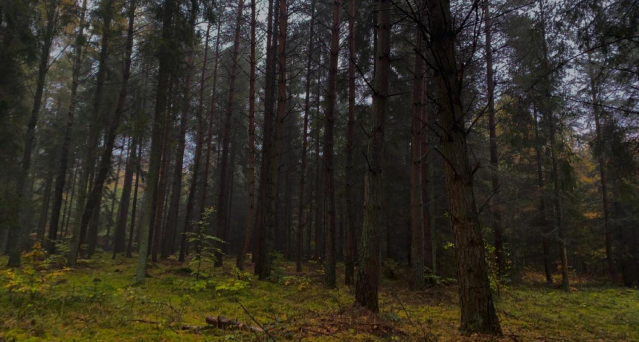 Willa Nadmorski Dom Pod Lasem Mieroszyno Zewnętrze zdjęcie
